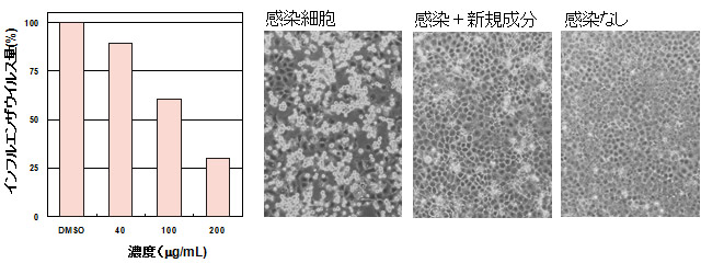 新規成分のインフルエンザウイルス増殖抑制効果