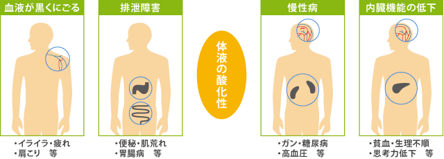 体液の酸化性