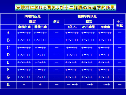 実験群における胃および十二指腸の病理学的所見